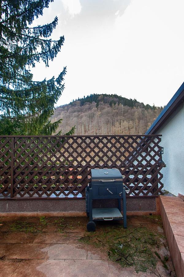 Vila Imperial Bed & Breakfast Sinaia Ngoại thất bức ảnh